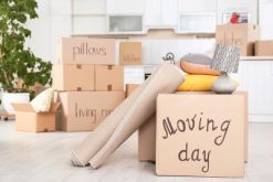 moving day